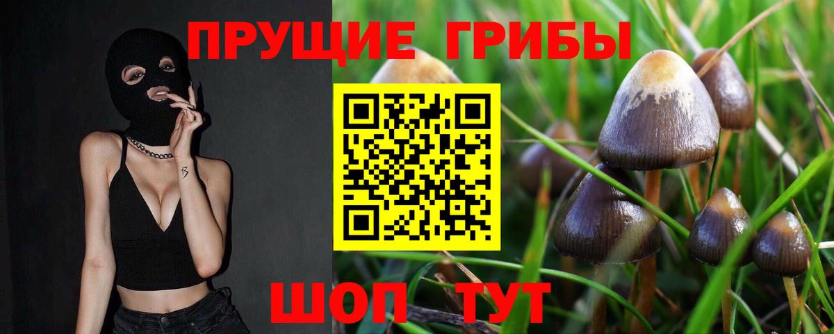 Галлюциногенные грибы Cubensis  Псилоцибиновые грибы Psilocybe  Вход с VPN  Будённовск 